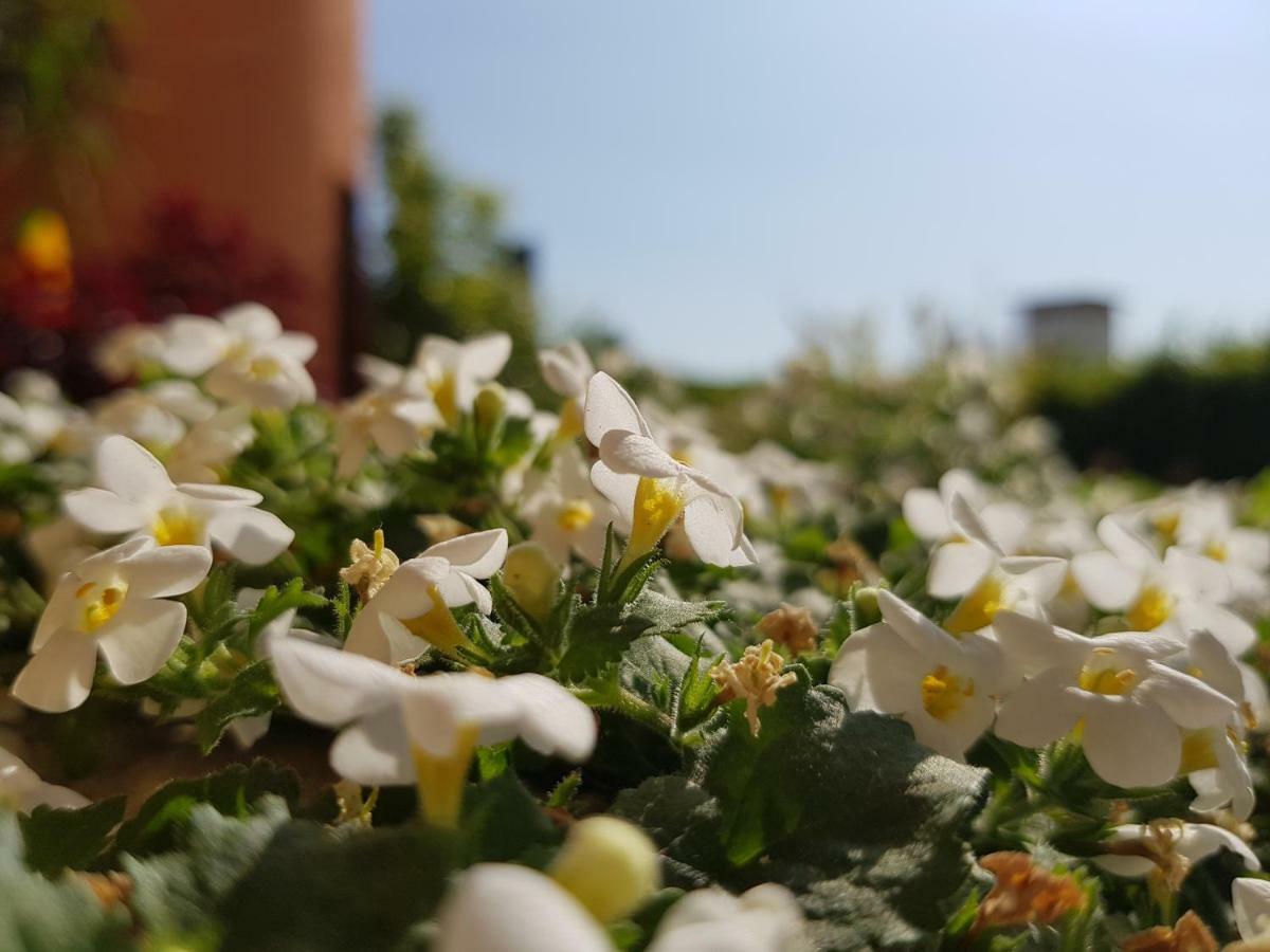 ديسينسانو ديل غاردا B&B Villa Giulia المظهر الخارجي الصورة